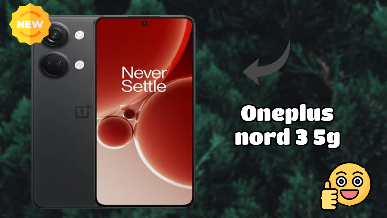 OnePlus Nord 3 5G Camera Review: 50 MP + 8 MP + 2 MP Rear Camera Photo Test