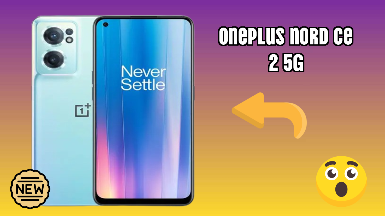 OnePlus Nord CE 2 5G Camera Samples: 64 MP + 8 MP + 2 MP Rear Camera Real Photos