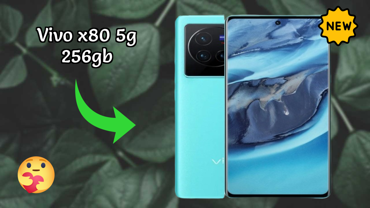 Vivo X80 5G 256GB Camera Quality: 50 MP + 12 MP + 12 MP Rear Camera Photo Test